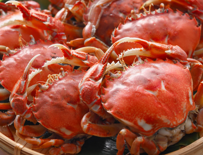 Mud crabs